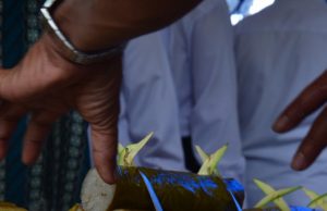 Nasi Jaha Kuliner Warisan Para Tetua