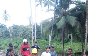 Demi Listrik Warga Sanana Relakan 5000 Pohon Ditebang