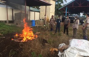 Jelang Idul Adha Balai Karantina Pertanian Kelas II Ternate Musnahkan Ratusan Kilo Ayam Potong