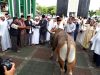 Walikota Ternate Sholat Ied di Mesjid Almunawar