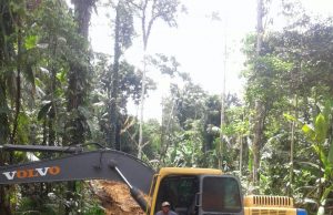 Buka Akses, Kades Barataku Bangun Jalan dengan Dana Desa