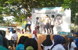 PLN Mobile, Akses Pelayanan Listrik dalam Gengaman