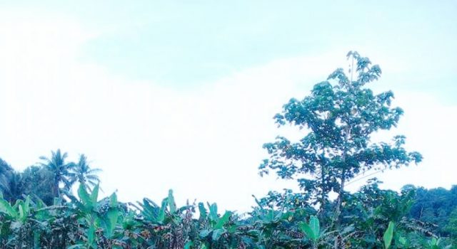 Jembatan Kaputusang Diproyeksikan di 2018