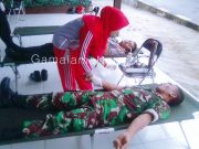 Kodim Gelar Donor Darah Sambut HUT TNI
