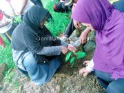 Demi Anak Cucu, Purna Paskibraka Halsel Gelar Penanaman 1001 Pohon