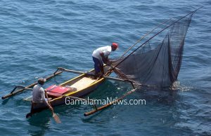 PUPR pastikan Pembangunan Reklamasi Kayu Merah-Kalumata Tidak Mengancam Biota Laut