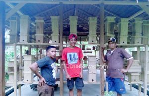 Kelompok Tani Desak Kadis Kehutanan Provinsi Berhentikan Ketua KPH