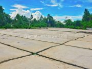 PT Alga Kekurangan Pasokan Rumput Laut ?