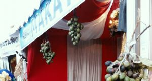 Makayoa Partisipasi di Pameran Expo Maritim