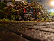 Pohon Tumbang Timpa 5 Mobil Rusak Parah