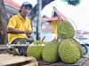 Harga Durian di Ternate Capai 50 Ribu Perbuah