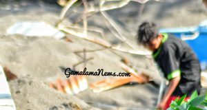 Harta Karun di Pantai Kulaba