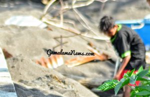 Harta Karun di Pantai Kulaba