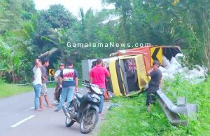 Truk Bermuatan Pala Terguling