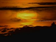 Pohon Untuk Kehidupan