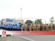 Pemkab Pulau Taliabu Usul 721 CPNSD Ke PAN-RB