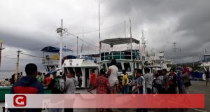 Sebulan, 671 Ton Ikan Bacan di Ekspor