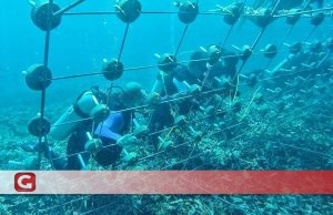 Peran Komunitas Ternate dalam Ternate Coral Day