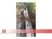 Soal Irigasi Gamtala dan Toboso, Wabup akan Panggil Dinas Terkait