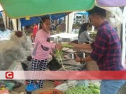 Jelang H-1 Ramadhan, Harga Sambako di Halsel Melambung