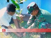 Ini Penghijauan Ala Kodim 1505 Tidore