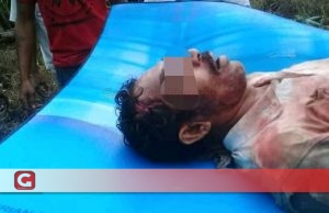 Digigit Babi Hutan, Iwan Tewas di Kebunnya Sendiri