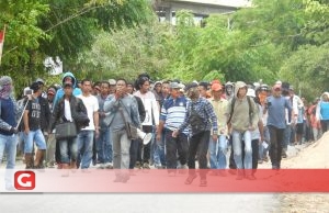 Aliansi Masyarakat Tani Taliabu Menantang Bupati Pulau Taliabu