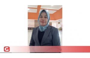 2019, Puluhan Desa akan Mengikuti Pilkades Serentak