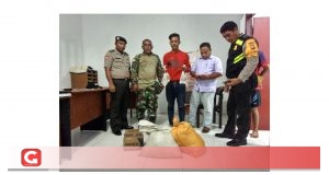 Polsek Pulau Moti Tangkap Penjual Miras, 125 Kantong Miras Diamankan