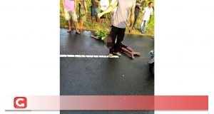 Kecelakaan Lalu Lintas di Rum Merenggut Nyawa