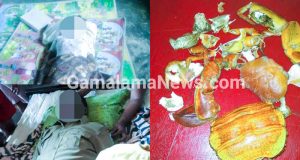 Kepiting Makan Korban, 2 Meninggal 1 Rawat Inap