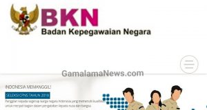 Yuk, Pelajari Alur Pendaftaran CPNS 2018 ini, Ingat! Jangan Gagal Paham