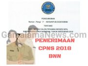 BNN Terima Lulusan SMA Untuk CPNS 2018, Cek Infonya di Sini
