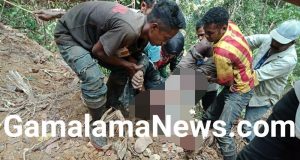 Kecelakaan Kerja Renggut Nyawa Karyawan Ginang Fohu