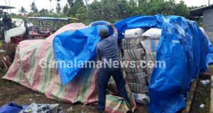 Kapolres: Kalau Ada Laporan, Kasus Penyelundupan Bibit Jagung akan Ditindaklanjuti