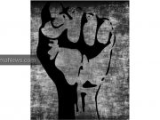 EKSPEDISI KAICIL NUKU