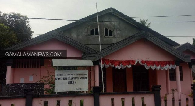Masih 82 Peserta CPNSD belum Dilakukan Verifikasi Berkas