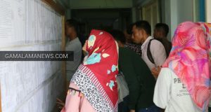 58 CPNS Halsel Gagal Berkas