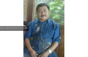 Dinas Pertanian Halut Ingatkan Petani Tomat, Fokus pada Jarak Tanam