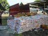 Penyelundupan 10 Ton Benih Jagung Hibrida Digagalkan KODIM 1508 Tobelo