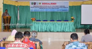 Pemprov Malut Sosialisasi Perda RZWP3K