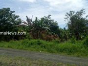 Abjan: 2020 Nanti, Pemda Morotai Akan Bangun Taman Terbuka Hijau di Depan Kantor Bupati