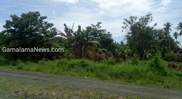 Abjan: 2020 Nanti, Pemda Morotai Akan Bangun Taman Terbuka Hijau di Depan Kantor Bupati