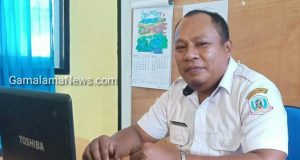 10 Hektar Lahan Tidak Difungsikan Petani, Dinas Pertanian Morotai Kecewa