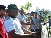 Wakil Wali kota Tidore Kepulauan, Lepas Peserta Jalan Sehat dan Penanaman Pohon Mangrove