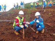 Peringati Hari Lingkungan Hidup Sedunia, Harita Nickel Tanam Seribu Pohon