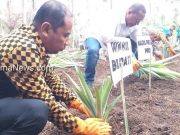 Dinas Pertanian Morotai Lakukan Pencanangan Kawasan Hortikultura Di Desa Sabatai Baru