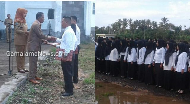 178 CPNS Resmi Terima SK 80 Persen