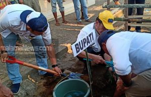 Peringati Hari Tani dan HUT TNI AD 2019, Distan Morotai Lakukan Pencanangan Buah Holtikultura Secara Serentak