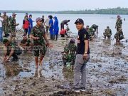 Lanal Morotai Gelar Penanaman Pohon Mangrove Secara Serentak